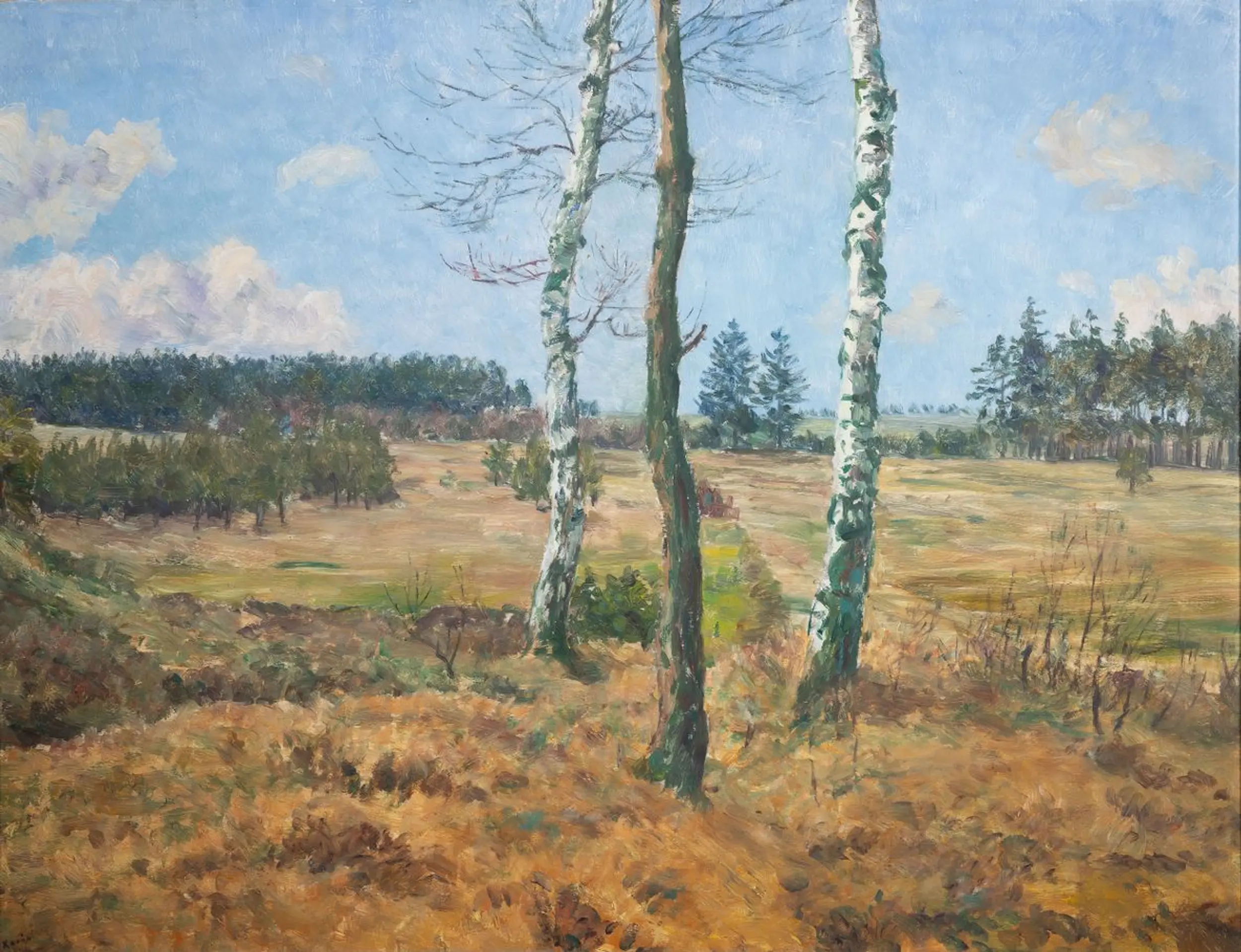 Obrázek na pozadí záhlaví