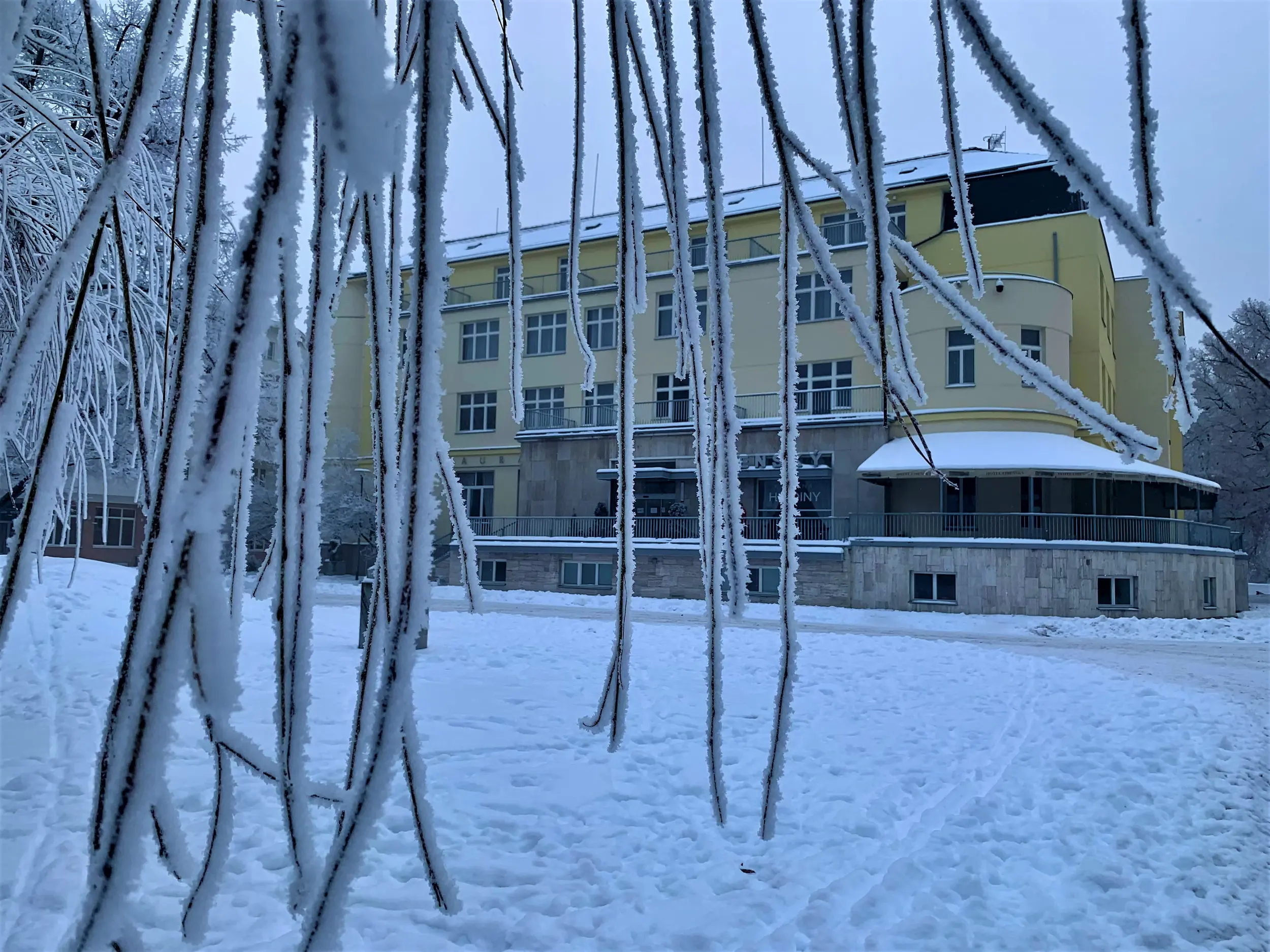 Obrázek na pozadí záhlaví