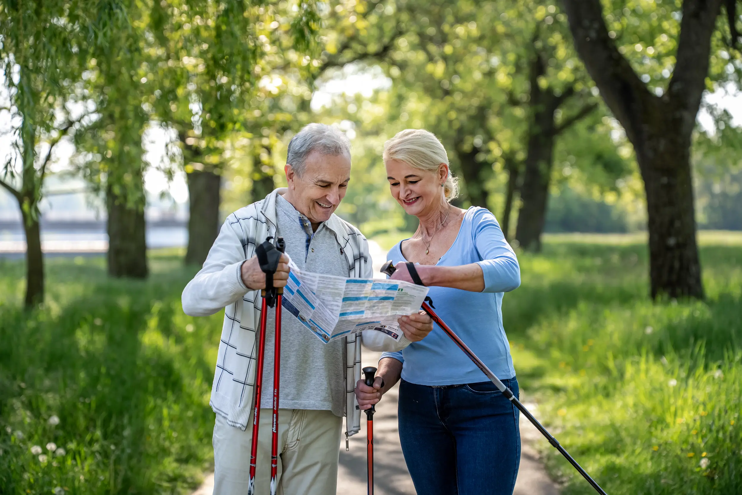 Obrázek na pozadí záhlaví