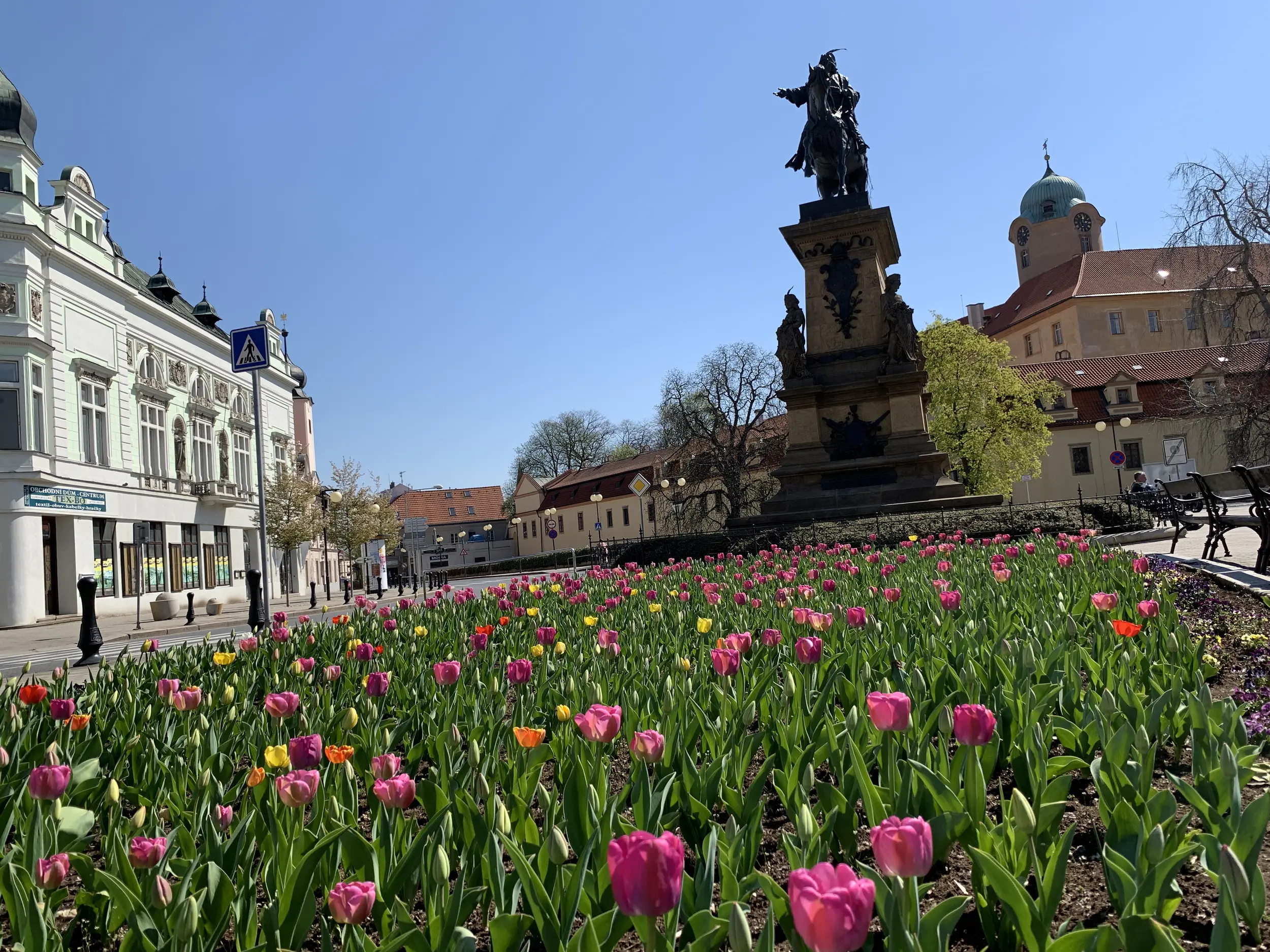 Obrázek na pozadí záhlaví