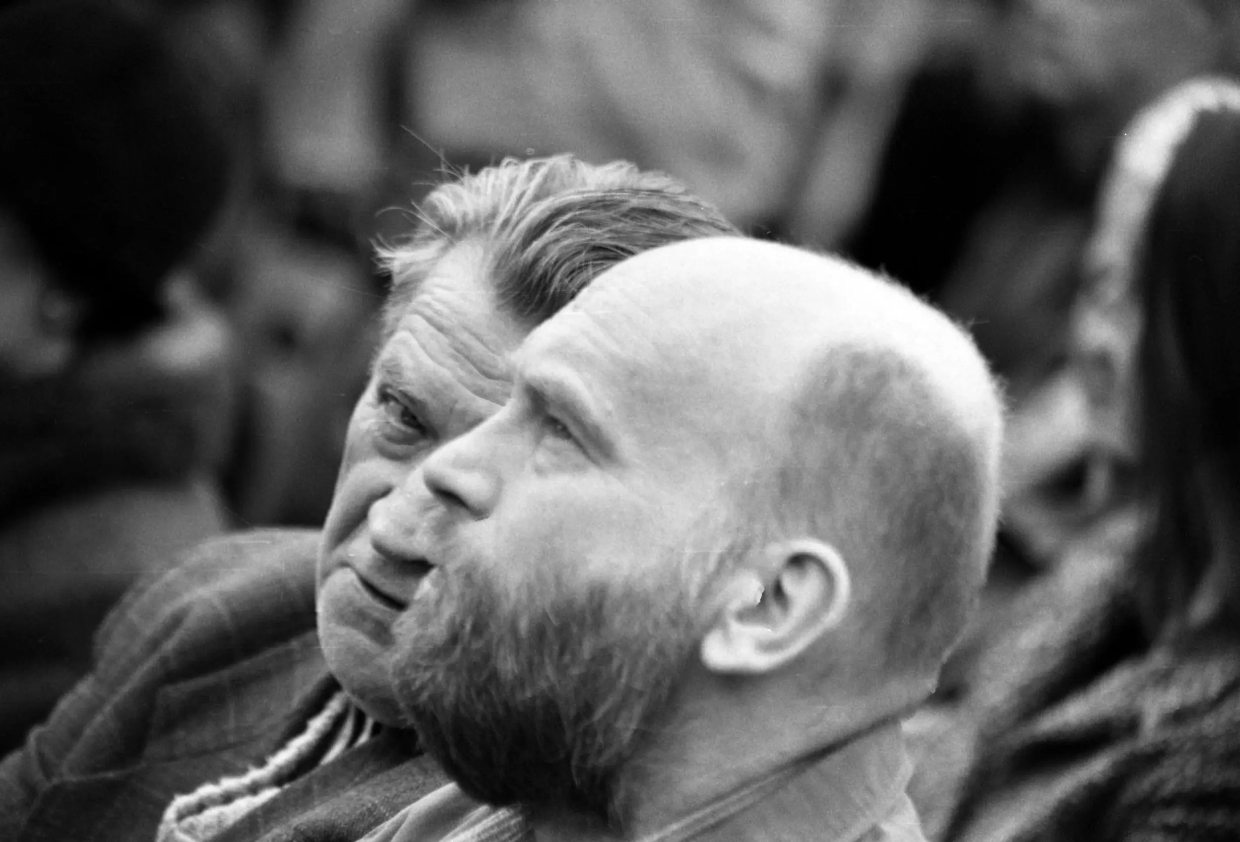 Obrázek na pozadí záhlaví